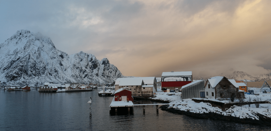 Fjords Cruise