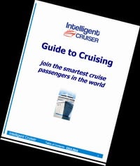 The Intelligent Cruiser eBook Review